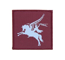 Oficial 16 Brigada de Asalto Aéreo 2015 Pegasus Flash/Insignia TRF (Nuevo táctico