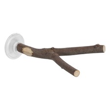 Suction Cup Bird Perch: Natural Wood Branch for Windows Mirrors Bath Shower -