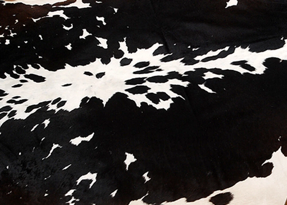 100% Original Kuhfell Teppich Bereich Skin Leder 22.96 Sq.feet (147cmx145cm - Bild 2 von 3