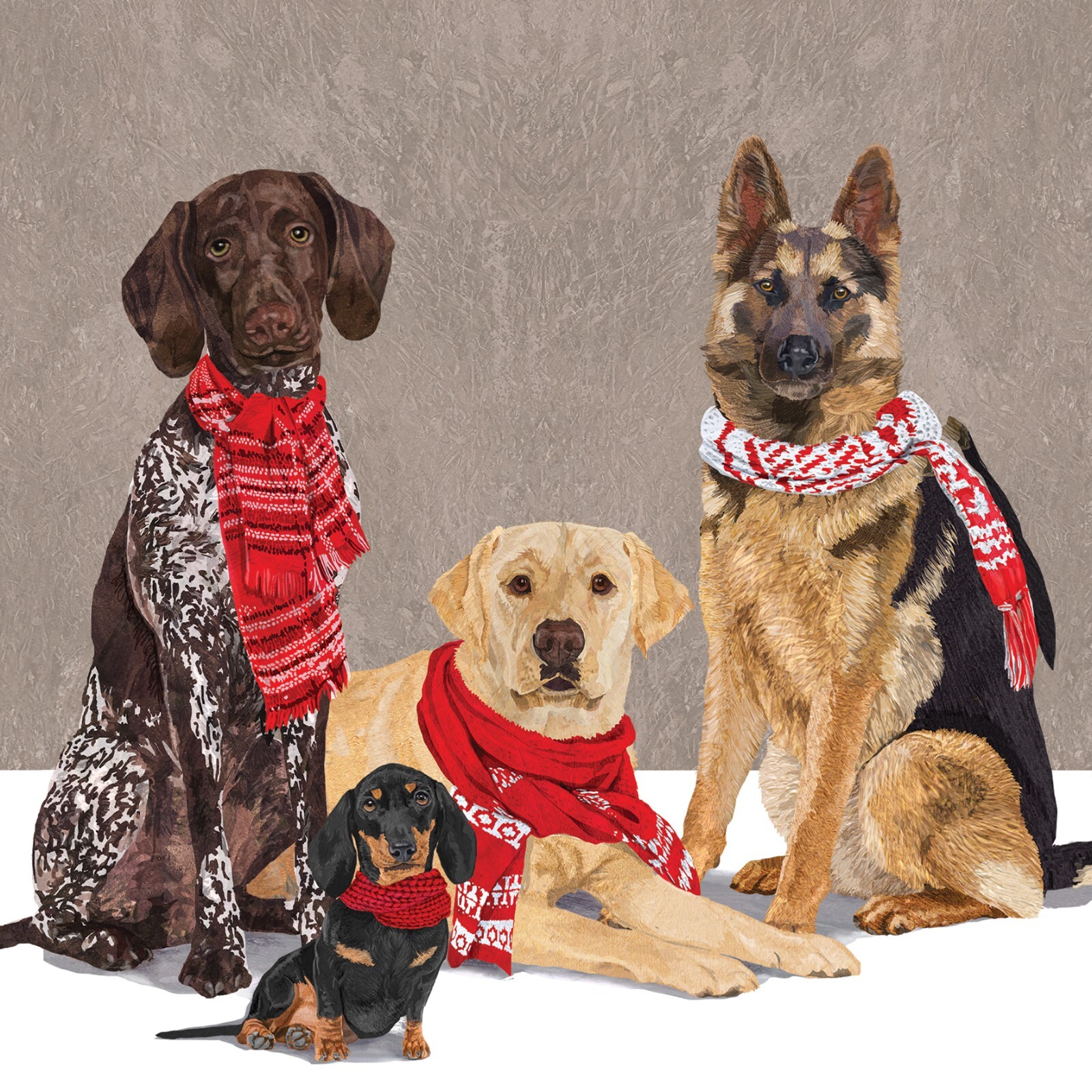 4 x Paper Napkins/3Ply/33cm/Decoupage/Animals/Dogs/Four Dogs in Scarfs