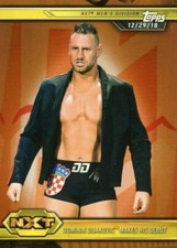 2019 WWE NXT Bronze Parallel Pick Your Card Lot ROH AEW TNA