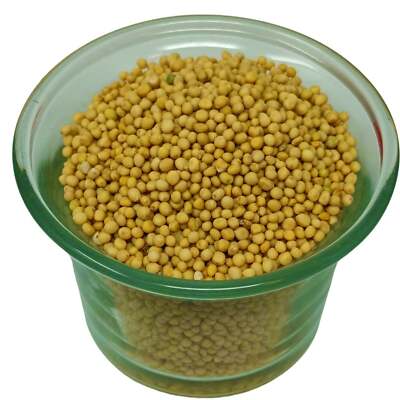 The Mustard Seeds ☆III Frontier Co-op Brown Mustard Seed, Whole 1 lb | Frontier Co-op