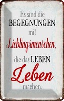 Blechschild 30X20 Cm Begegnungen Lieblingsmenschen Dekoration Spruch Zitat Deko