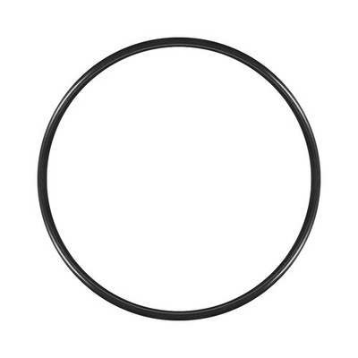 Metrische Nitrilkautschuk O-Ringe 160x170x5mm - Gummidichtung für Poolpumpe