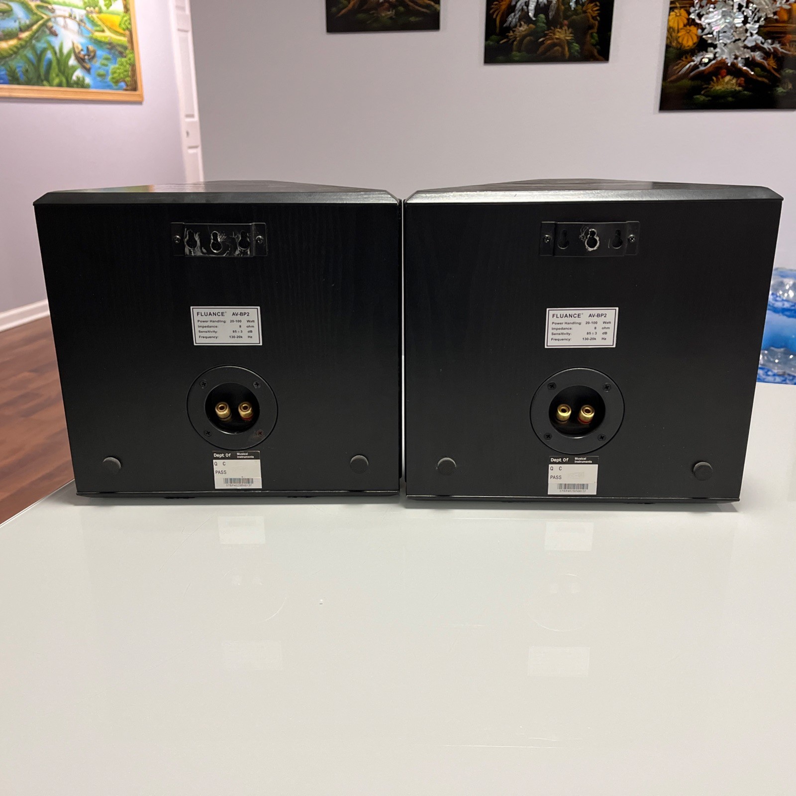 Fluance AVBP2 Surround/Satellite Speakers