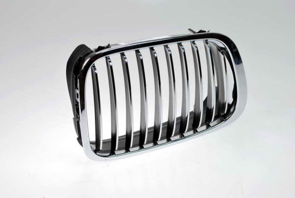 Right BLIC 6502-07-0061992P Radiator Grille for BMW