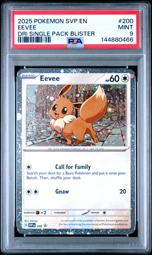 2025 POKEMON SVP DESTINED RIVALS SINGLE PACK BLISTER PROMO #200 EEVEE PSA 9