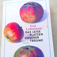 Eva Lohmann: Das leise Platzen unserer Träum...