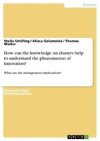 Stella StrüFing (U. A.) | How Can The Knowledge On Clusters Help To...