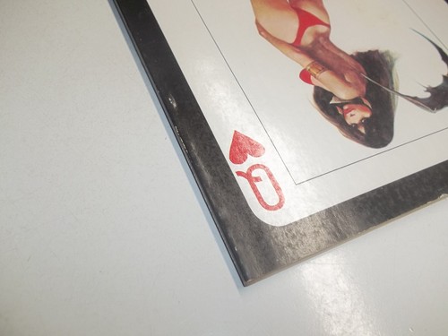 VAMPIRELLA A SCARLET THIRST DAVE STEVENS 1993 1ST PRINT +#4 Lot o 2 comics - Picture 12 of 13