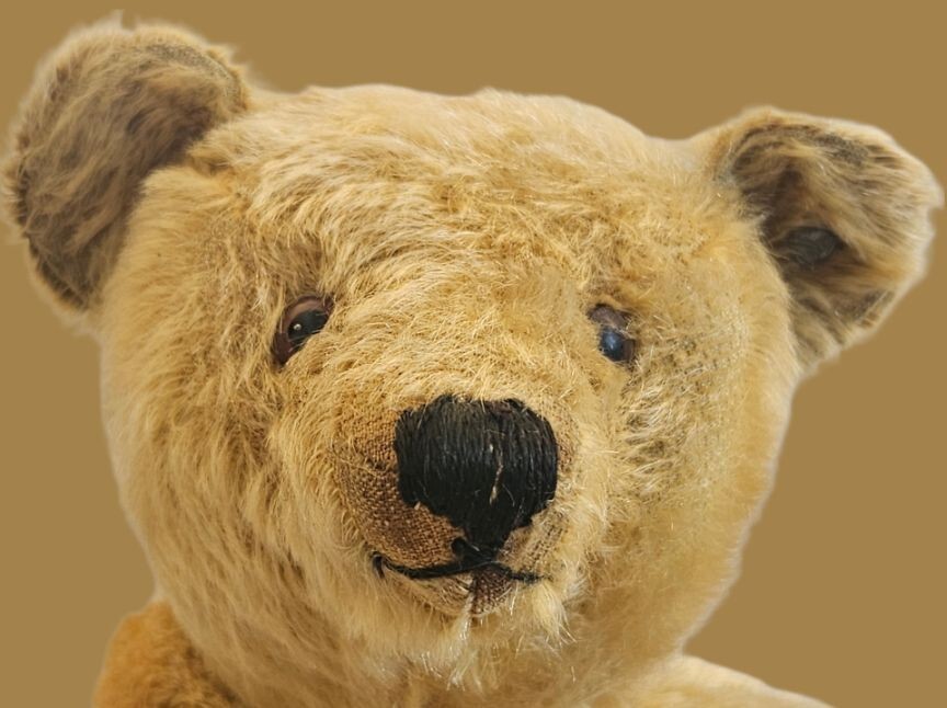 Rare antique Steiff - Teddy Bear / Original Teddy Bear - Pre