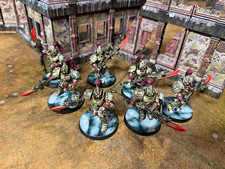 Warhammer 40K Adeptus Custodes 7x Guard Sodality Painted