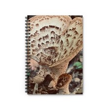 Spiral Notebook - Ruled Line - Fungus