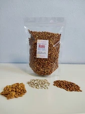 Organic Ethiopian Kolo