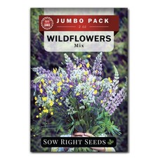 - Bulk Wildflowers Seeds Mix for Planting - Annuals & Perennials - 2 Ounces, ... 121.04 per gallon