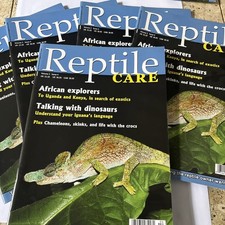 Reptile Care Magazine New Archive Stocks Full Information On Reptiles