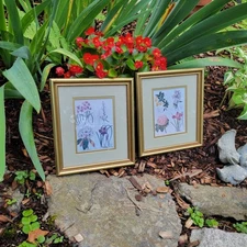 Set of 2 Vintage Robert Grace Floral & Botantical  8 x 9 Gold Frame Under Glass
