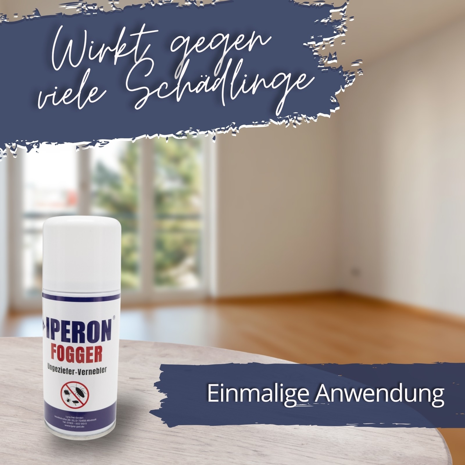 Bild 5 von 13
