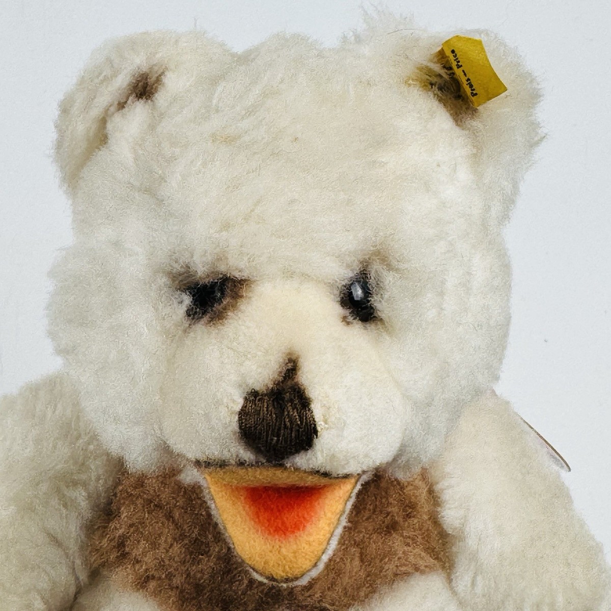 Steiff Cosy Teddy Bear White 9” Original Germany Tags Brass Ear
