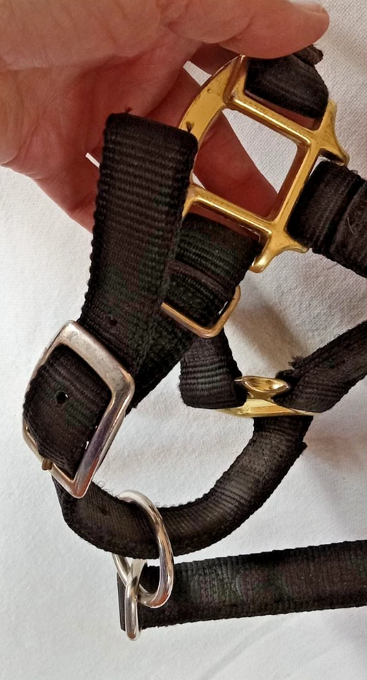 Fabtron качество 1 дюйм   Лошадь с бретелью через шею 800-1000 фунтов сделано в США черная. нейлон - Изображение 3 из 4