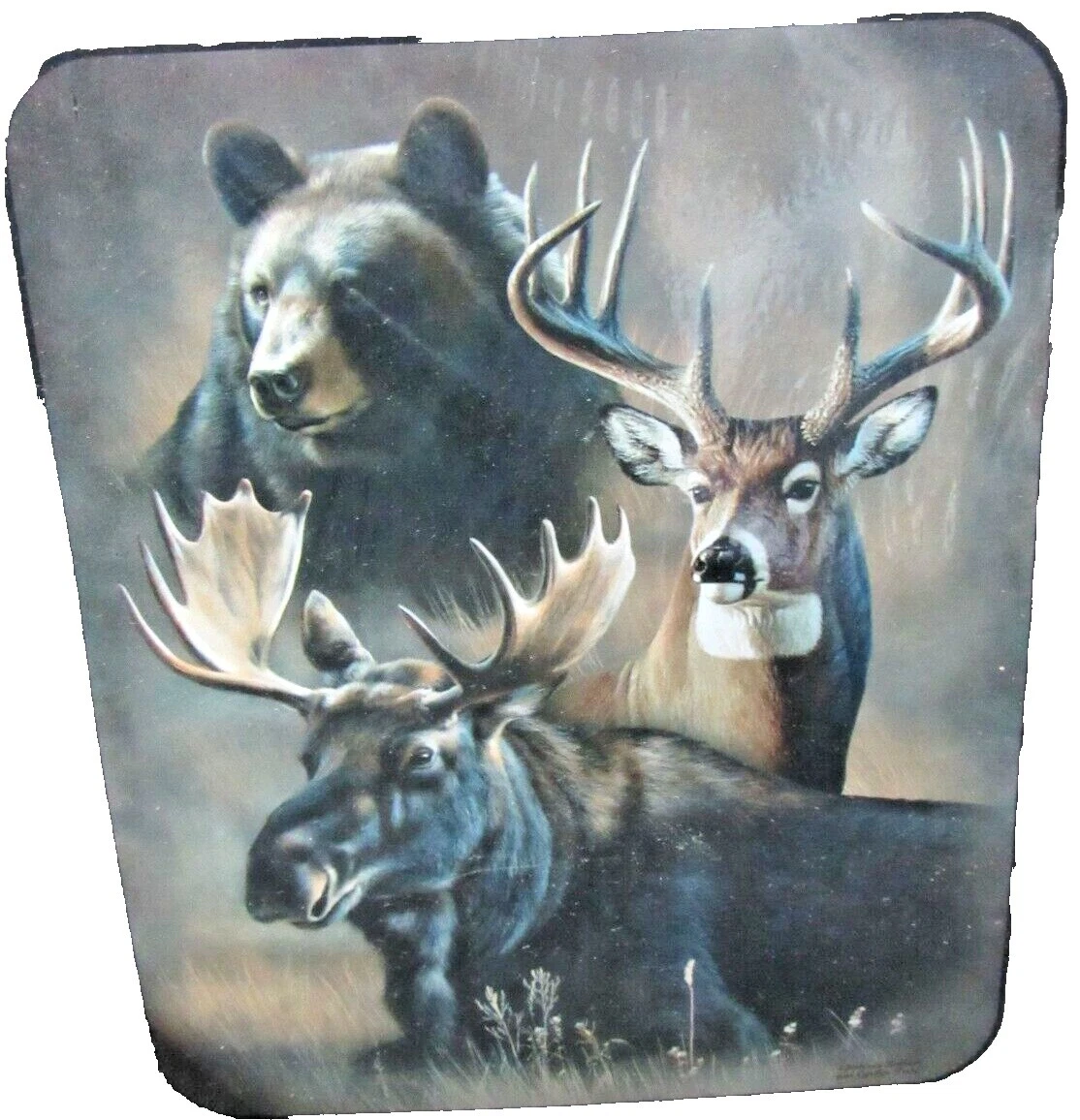 Signature Collection Animals Pictorial Blankets & Throws
