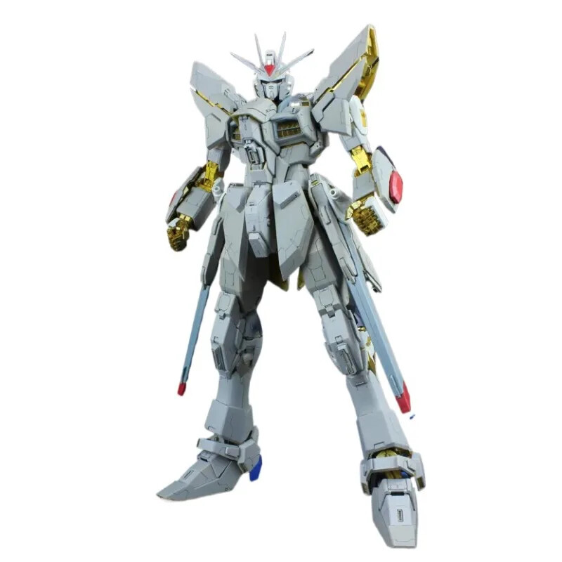 for PG 1/60 ZGMF-X20A Strike Freedom UC Recast DREAM CAST DC Resin