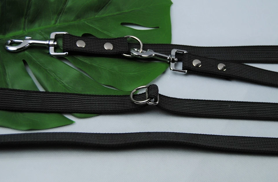 BULLYZEI breite gummierte Führleine verstellbar grau, 2m x 25mm Bulldogge Labrador Boxer