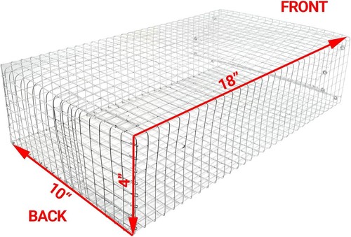 the Amazing Humane Snake Trap Catches and Release All Kinds of Snakes ...