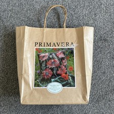 Primavera Green Indian Poppies Needlepoint Tapestry Kit 41cm x 41cm New Sealed