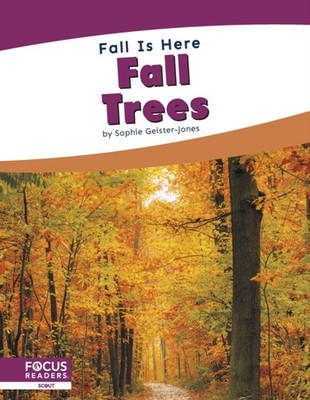 Fall is Here: Fall Trees by Sophie Geister-Jones HARDBACK 9781644933329