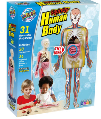 Wild Science Squeezy Human Body Anatomy Set - Educational Science Kit   