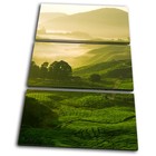 Canvas Art Picture Print Decorative Photo Landscape Field Countryside Nature