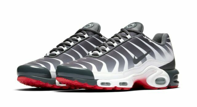 air max plus with clear bottom