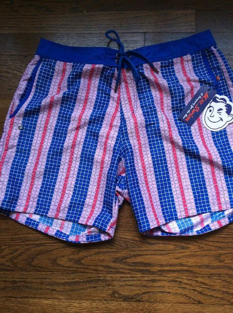 mr swim shorts