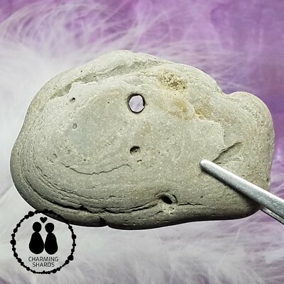 HOLEY HAG STONE NATURAL SURF TUMBLED BEACH ROCK WISHING GOOD LUCK FAIRY #1406