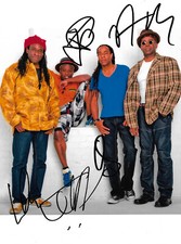 Living Colour Autographs Signed 20x27 cm Picture 