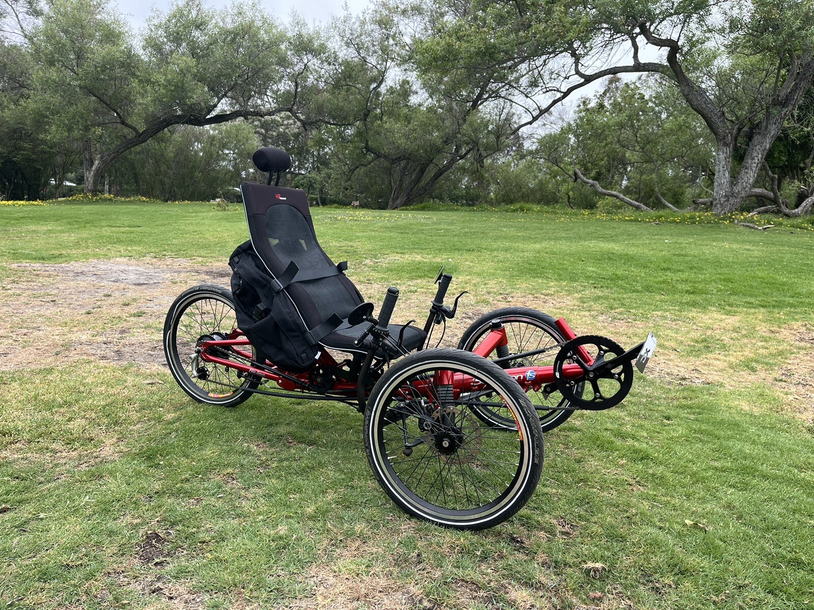 Hp velotechnik Scorpion FS Rohloff Recumbent Trike