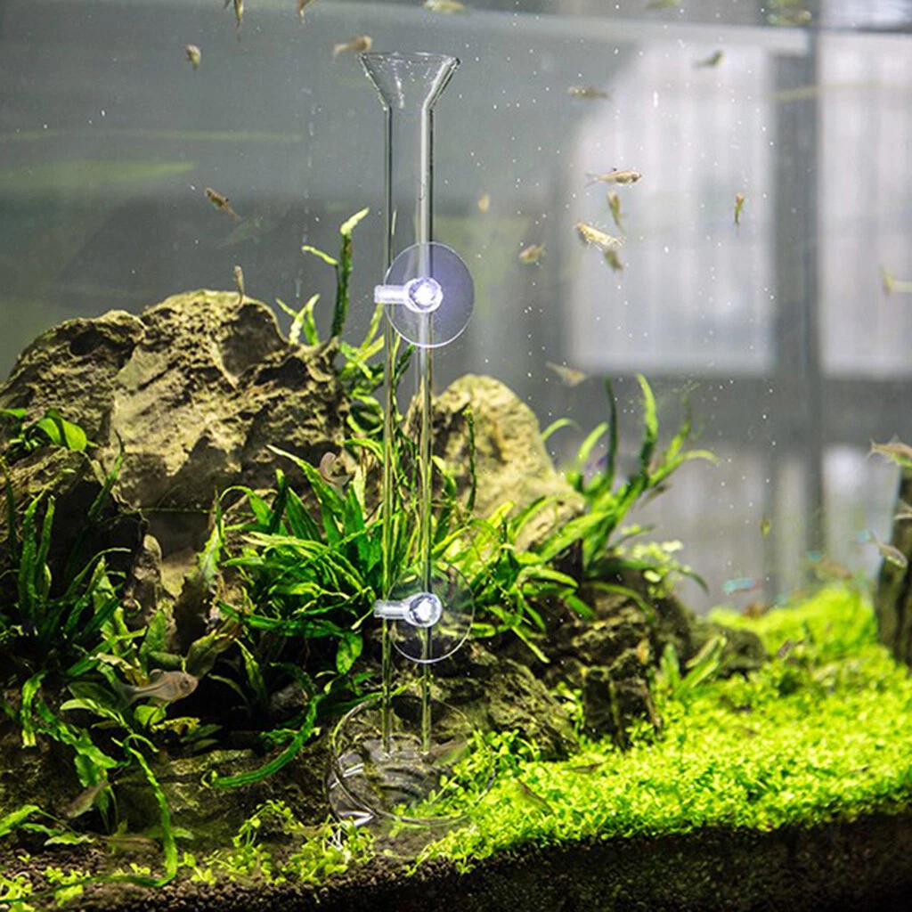 Square aquarium cheap
