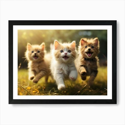 Three Kittens Running Art Print Framed Wall Art Poster Canvas Print Picture