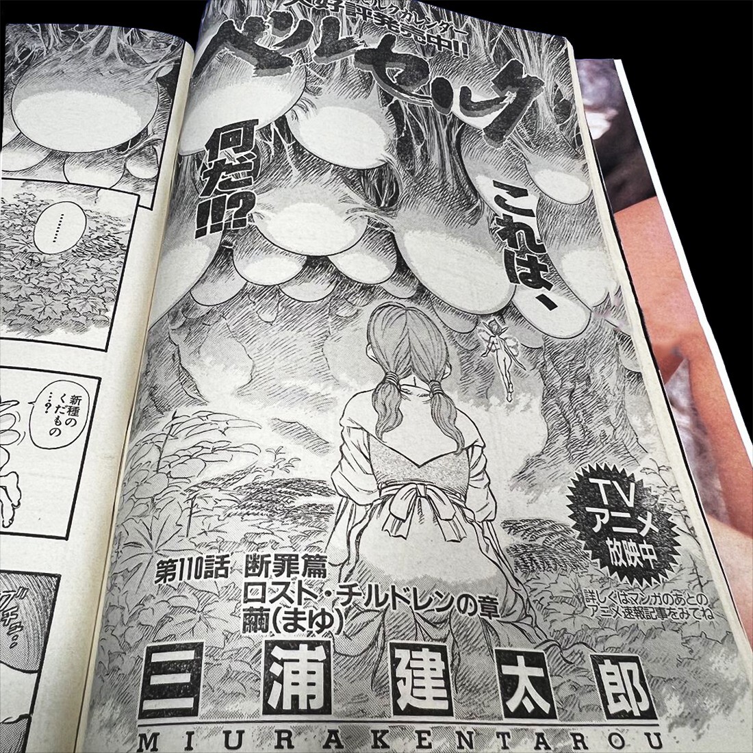 BERSERK Capítulo 110 Animal Joven 1997 #22 Kentaro Miura