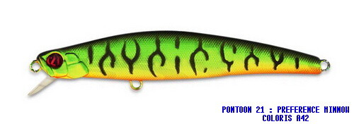 Kit Poissons Nageurs SRT Minnow – Pack Leurres Minnow - Leurre de la pêche