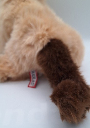 HIMALYAN CAT 13 PULGADAS PELUCHE DOUGLAS PELUCHE JUGUETE - Imagen 2 de 3