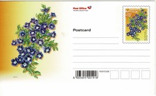 South Africa Postal Stationery Postcard Flowers unused Blumen Ganzsache Postkart