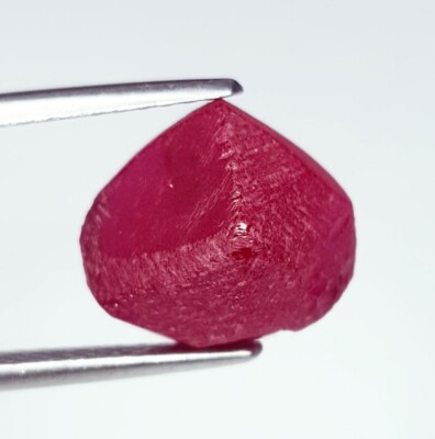 Rubis Naturel Du Mozambique - 1,32 Carats - Non Traité - Coupe Ronde - Rouge/rose