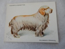 ART DECO ERA CARD  CLUMBER SPANIEL  NICE  80 X 60 mm ARTHUR WARDLE 