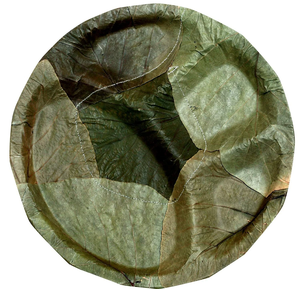 Eco Friendly India Leaf Pattal Disposable Dried Leaf Plates Party Picnic 50Pcs