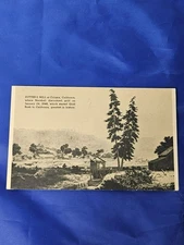Sutters Mill California Gold Rush Postcard