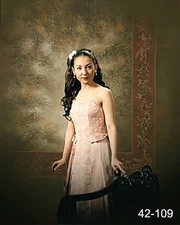 Pro 10'x20' Muslin 100% Airbrush Painted Photo Backdrop Background 42-109