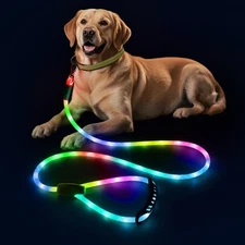 Light Up Dog Leash, LED Pet Leashes USB Rechargeable, Glow Safety Dogs Lights at