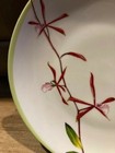 Philippe Deshoulieres Exotica Dinner Plate. NEW. — photo 2
